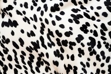 A Close Up Of A Black And White Spotted Animal Skin
