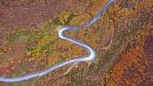 S Shaped Curved Road Aerial View Camera Tilt Down 90 Degrees Autumn Colors Forest