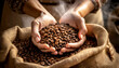 Close-up of two hands (cupped hands full of roasted coffee beans) of a female farmer showing the harvest of a coffee beans, and a burlap sack (jute sack) with roasted coffee beans.