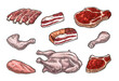 Set meat products. Brisket, steak, chicken leg, ribs wing, and breast halves. Vintage color vector engraving illustration. Isolated on white background.