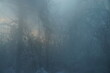 Abstraktes Motiv mit dunkler  Baumlandschaft vor Himmel mit aufgehender Sonne bei Schnee und Nebel am frühen Morgen im Winter
