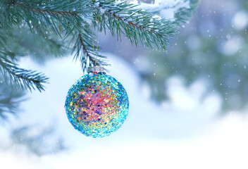 Poster - beautiful bright colorful shiny ball on snowy christmas tree close up. Winter nature background, festive season. Christmas and new year holidays