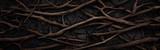 Fototapeta  - Banner photo of dark dry roots sticks on black soil for background or banner. Шntertwined dark wooden branches creating a natural, textured pattern