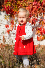 Wall Mural - A cute little girl in a red dress walks in the park against the background of a bush with red autumn leaves, a cozy autumn atmosphere