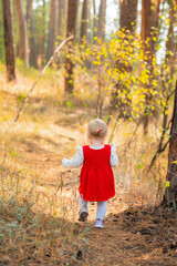 Wall Mural - Rear view of child toddler girl in a red dress in the autumn forest. Happy childrens day. Active outdoor games, fun and happy concept of carefree childhood