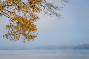 Wall Mural - foggy November morning over the Tennessee River at Colbert Ferry Park, Natchez Trace Parkway