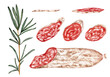 Rosemary branch and slices of Spanish sausage fuet with white mold. Clipart. Watercolor, hand drawn art illustration isolated. For cards, handmade textiles, prints, menus, posters.