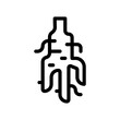 ginseng line icon
