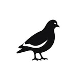 Fototapeta Młodzieżowe - Pigeon Icon, Dove Silhouette, City Bird Symbol, Pigeon Icon on White Background