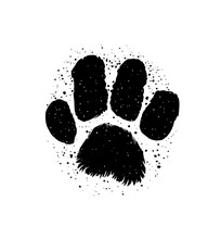 Dog Cat Fluffy Footstep Trail Icon.Puppy Kitty Pet Footprint Stencil Drawing Sign.Black Doggy Kitten Pup Paw Mark Grunge Silhouette.I Love Dogs.T Shirt Print .Sticker. Sublimation. Tattoo. DIY. Logo
