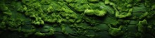 Green Leaf Textured Background