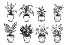 Vector Set Of Sketches House Plants In Pots On A White Background Vector Illustration