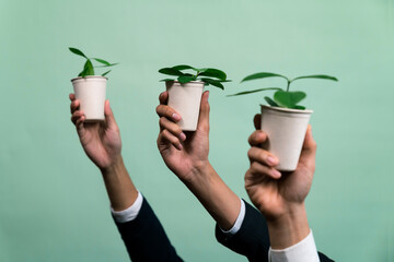 Wall Mural - Business people hand holding plant pot on isolated background. Reforestation and eco-conscious regulation in green company to reduce CO2 emission for future environmental sustainability. Quaint