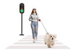 Female teen crossing a street with a maltese poodle dog