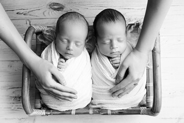 Tiny newborn twins boys in white cocoons in a wooden basket against a light wood background. A newborn twin boy sleeps next to his brother. Mother's hands, palms stroking the twins. Black and white.