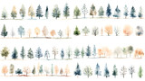 Fototapeta  - Set of watercolor style illustration of pine tree. Cartoon illustration isolated on white background.