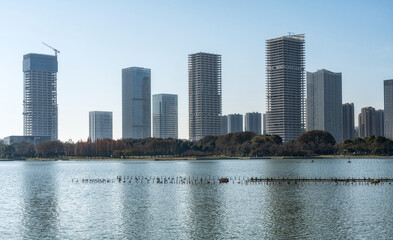 Canvas Print - A modern city by the lake