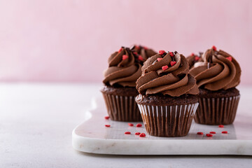 Wall Mural - Dark chocolate cupcakes with chocolate ganache frosting