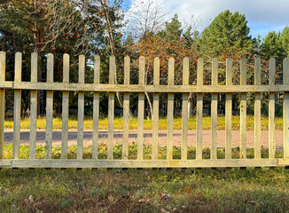 Sticker - Yellow wooden fence in nature. Background