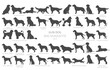 Dog breeds silhouettes, simple style clipart. Hunting dogs, Gun dogs collection