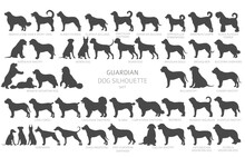 Dog Breeds Silhouettes, Simple Style Clipart. Guardian Dogs And Service Dog Collection