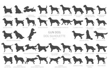 Dog Breeds Silhouettes, Simple Style Clipart. Hunting Dogs, Gun Dogs Collection