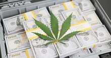 Green Leaf Of Marijuana Lying On Suitcase With Lot Of Money Dollars Closeup 4k Movie Slow Motion. Sale Of Drugs Narcotic Business Concept