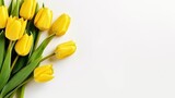 Fototapeta Tulipany - Spring Flower Yellow Tulips on White Background. Valentine's Day, Easter, Birthday, Happy Women's Day, Mother's Day. Flat lay, top view, copy space