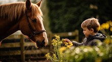 Horse And Kid Play Together In The Garden