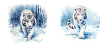 Watercolor Portrait Of Tiger. Winter Snow And Forest Landscape. AI Generated