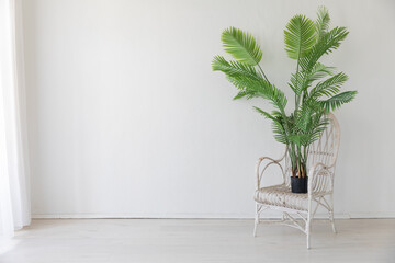 Poster - Green Palm Tree Plant and Vintage Armchair in White Room Interior