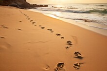 Footprints In Sand On The Beach In The Morning With Beautiful Light
