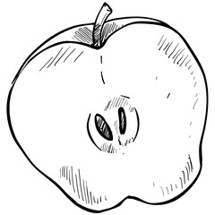 apple handdrawn illustration