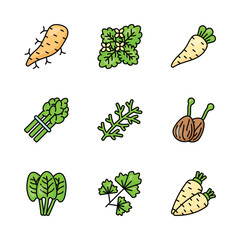 Wall Mural - Download this beautiful and amazing vegetables icons set, ready to use in web, mobile apps and all other projects