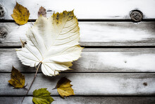 Large White Leaf On A Wooden Background With Smaller Yellow Leaves Scattered Around It, Ai Generative