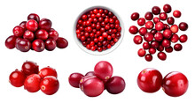 Red Cranberry Cranberries, Many Angles And View Side Top Front Heap Pile Bunch Isolated On Transparent Background Cutout, PNG File. Mockup Template For Artwork Graphic Design