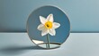 pastel blue background with a narcissus flower reflecting in a mirror minimal concept symbolizing self awareness and pride generative ai