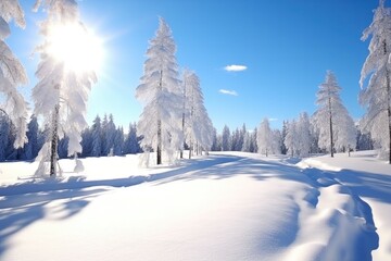 Wall Mural - a winter scene with blue sky and snowy trees