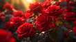 The romance of red roses in a lush garden setting, bathed in the soft glow of the evening sun. Generative Ai