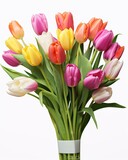 Fototapeta Tulipany - Bright Tulip Bouquet Displayed Against White