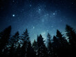 A starry night sky above a tranquil forest