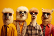A group of llamas wearing sunglasses posing on a vibrant yellow background. Perfect for adding a touch of fun and humor to your designs.