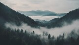 Fototapeta Las - Beautiful View of Misty Mountain Forest Landscape Wallpaper Background