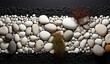 © Luismartin_fit - Black and White Pebble Art with Grass on Dark Background