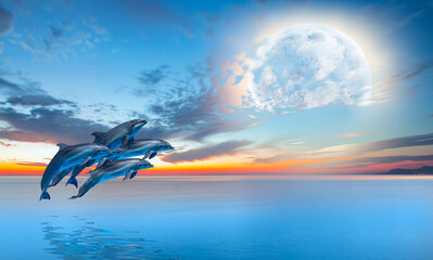 Wall Mural - Silhoutte of dolphins jumping up from the sea at sunset with full moon 