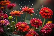 Red flowers and rain