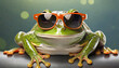 Big fat  funny frog in  sunglasses.