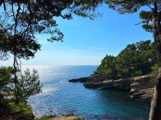 Canvas Print - Blue sea, scenic rocky coast and pine trees in Montenegro.