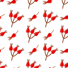 Seamless Pattern With Red Rosehip Berry Vector 2