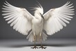 Serene snowy egret spreads its wings and prepares to fly